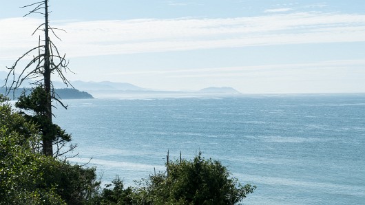 DSC00516