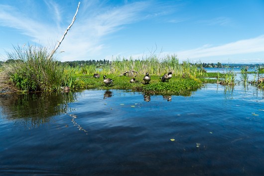 DSC01796