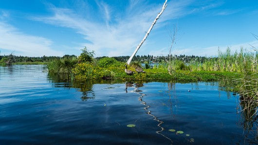 DSC01800-2