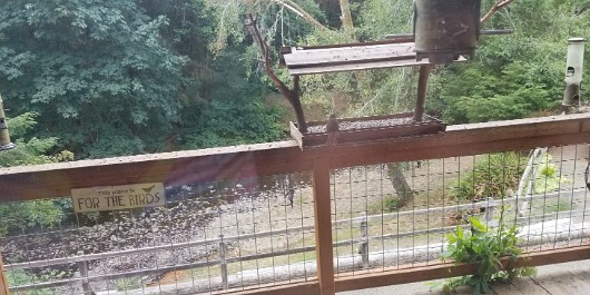20210817_131725 JKJK0 ü���¨Ö�ø³������µ��µ���������������������Ä�mû����)Ú�»�ögÿÿëÜÿÿ&Æÿÿs�g¨ÿÿf��uÿÿ%ß�1