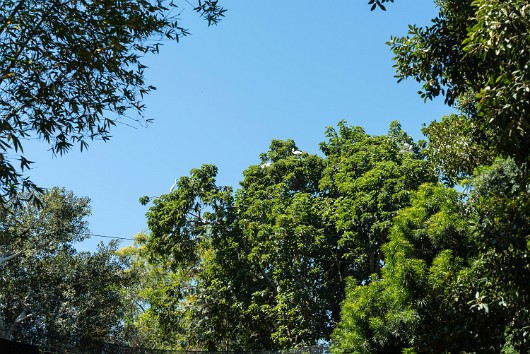 DSC03630