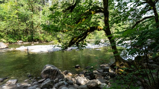 _DSC4862