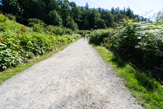 _DSC5024