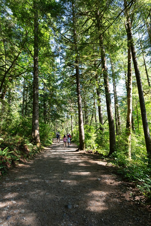 _DSC5031