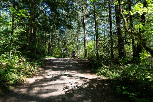_DSC5032