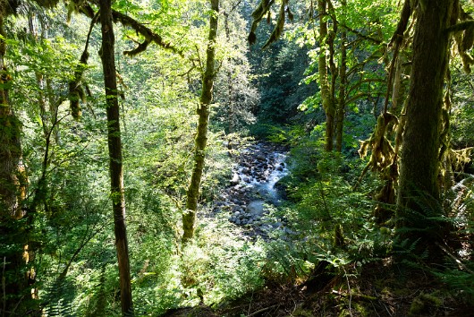 _DSC5035