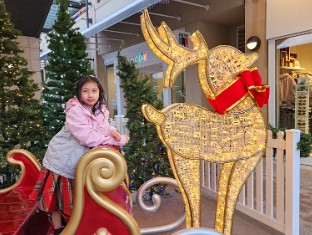 Year 8 (Christmas)