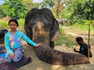 Year 9 (Sri Lanka)